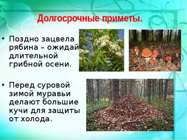 Долгосрочные приметы. Поздно зацвела рябина – ожидай длительной грибной осени.  Перед суровой зимой муравьи делают большие кучи для защиты от холода. 