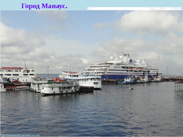 Город Манаус. 