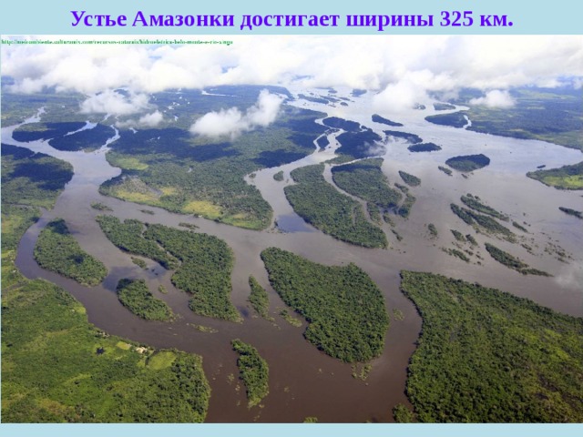 Устье Амазонки достигает ширины 325 км. 