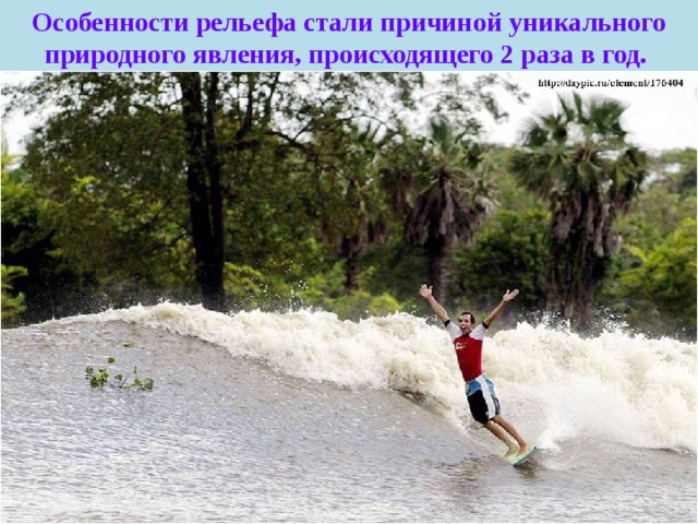 Особенности рельефа стали причиной уникального природного явления, происходящего 2 раза в год. Местные индейцы называют её «поророко» и считают гневом духов реки. Океанский прилив, преодолевая сопротивление реки, поднимает волну высотой до 6, а то и до 10 метров и гонит её вверх по течению до 300 км, со скоростью около 30 км/час, поднимая ужасный гул и шум, сметая с берегов деревья, животных, хижины. 