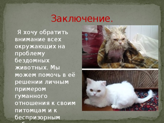 Заключение.  Я хочу обратить внимание всех окружающих на проблему бездомных животных. Мы можем помочь в её решении личным примером гуманного отношения к своим питомцам и к беспризорным собакам и кошкам. 
