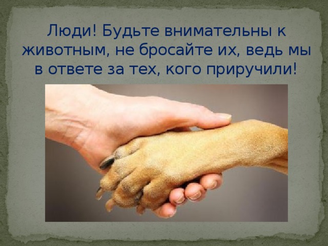 Люди! Будьте внимательны к животным, не бросайте их, ведь мы в ответе за тех, кого приручили! 