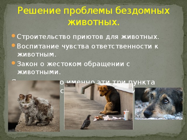 Решение проблемы бездомных животных. Строительство приютов для животных. Воспитание чувства ответственности к животным. Закон о жестоком обращении с животными. Я считаю, что именно эти три пункта являются основными в решении данной проблемы. 