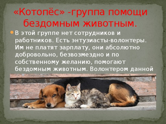 «Котопёс» -группа помощи бездомным животным. В этой группе нет сотрудников и работников. Есть энтузиасты-волонтеры. Им не платят зарплату, они абсолютно добровольно, безвозмездно и по собственному желанию, помогают бездомным животным. Волонтером данной группы может стать каждый!!! 