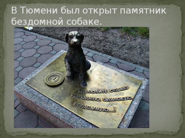 В Тюмени был открыт памятник бездомной собаке. 