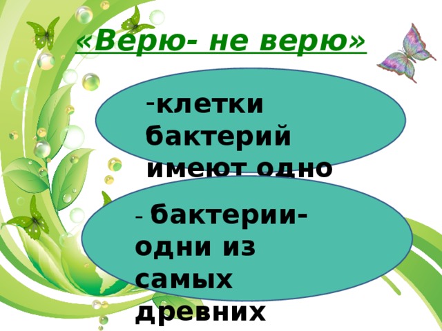 «Верю- не верю» клетки бактерий имеют одно или несколько ядер; - бактерии- одни из самых древних организмов на Земле; 