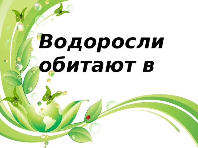 Водоросли обитают в 
