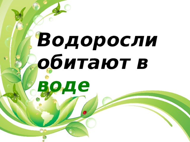 Водоросли обитают в воде  