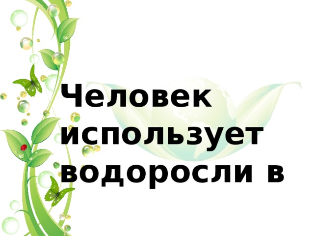 Человек использует водоросли в 