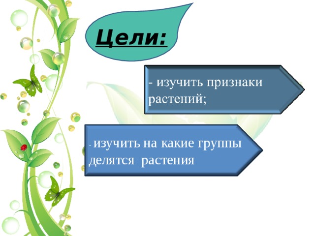 Цели: - изучить на какие группы делятся растения 