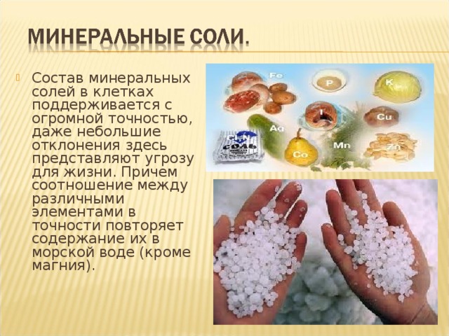 Состав минеральных солей в клетках поддерживается с огромной точностью, даже небольшие отклонения здесь представляют угрозу для жизни. Причем соотношение между различными элементами в точности повторяет содержание их в морской воде (кроме магния). 