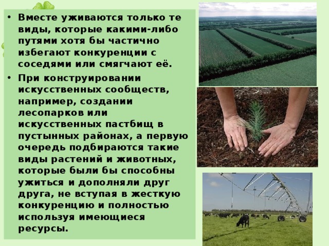 Вместе уживаются только те виды, которые какими-либо путями хотя бы частично избегают конкуренции с соседями или смягчают её. При конструировании искусственных сообществ, например, создании лесопарков или искусственных пастбищ в пустынных районах, а первую очередь подбираются такие виды растений и животных, которые были бы способны ужиться и дополняли друг друга, не вступая в жесткую конкуренцию и полностью используя имеющиеся ресурсы. 