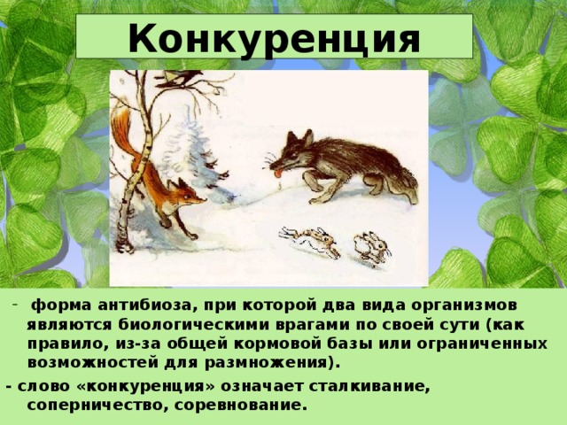 Конкуренция  - форма антибиоза, при которой два вида организмов являются биологическими врагами по своей сути (как правило, из-за общей кормовой базы или ограниченных возможностей для размножения). - слово «конкуренция» означает сталкивание, соперничество, соревнование. 
