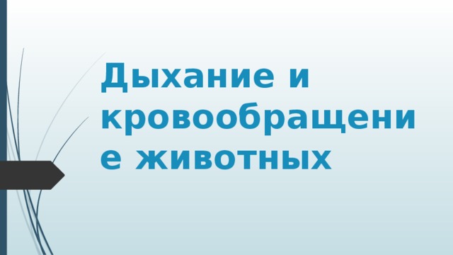 Дыхание и кровообращение животных 