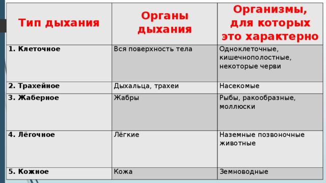  1. Клеточное  Тип дыхания 2. Трахейное Организмы, для которых это характерно Вся поверхность тела Органы дыхания Одноклеточные, кишечнополостные, некоторые черви Дыхальца, трахеи 3. Жаберное 4. Лёгочное Насекомые Жабры Рыбы, ракообразные, моллюски Лёгкие 5. Кожное Наземные позвоночные животные Кожа Земноводные 
