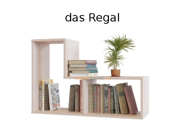 das Regal 