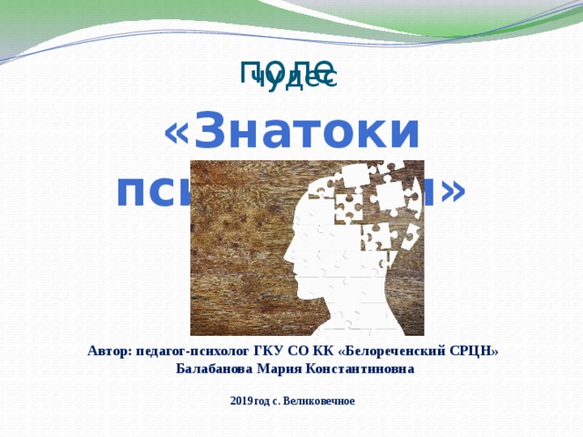 поле чудес «Знатоки психологии» Автор: педагог-психолог ГКУ СО КК «Белореченский СРЦН»  Балабанова Мария Константиновна  2019год с. Великовечное 