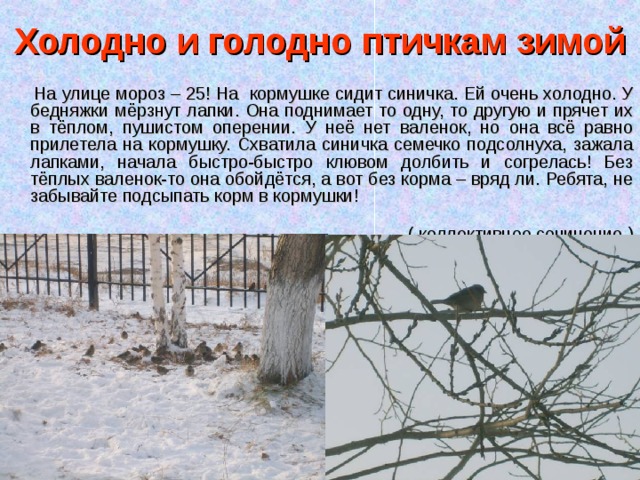 Холодно и голодно птичкам зимой  На улице мороз – 25! На кормушке сидит синичка. Ей очень холодно. У бедняжки мёрзнут лапки. Она поднимает то одну, то другую и прячет их в тёплом, пушистом оперении. У неё нет валенок, но она всё равно прилетела на кормушку. Схватила синичка семечко подсолнуха, зажала лапками, начала быстро-быстро клювом долбить и согрелась! Без тёплых валенок-то она обойдётся, а вот без корма – вряд ли. Ребята, не забывайте подсыпать корм в кормушки! ( коллективное сочинение ) 