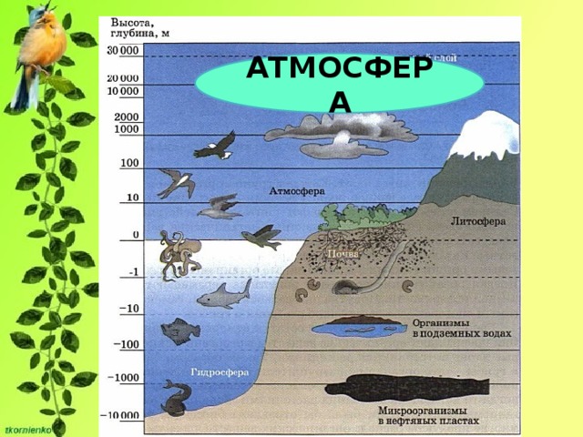 АТМОСФЕРА 