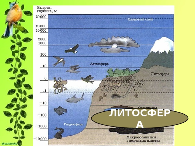ЛИТОСФЕРА 