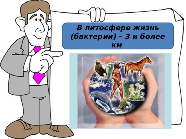 В литосфере жизнь (бактерии) – 3 и более км 