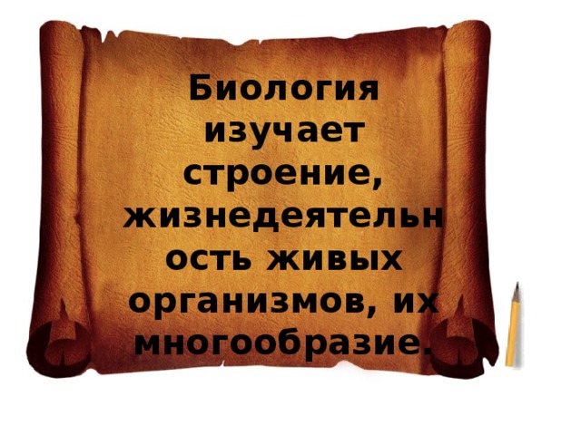 Биология изучает строение, жизнедеятельность живых организмов, их многообразие. 