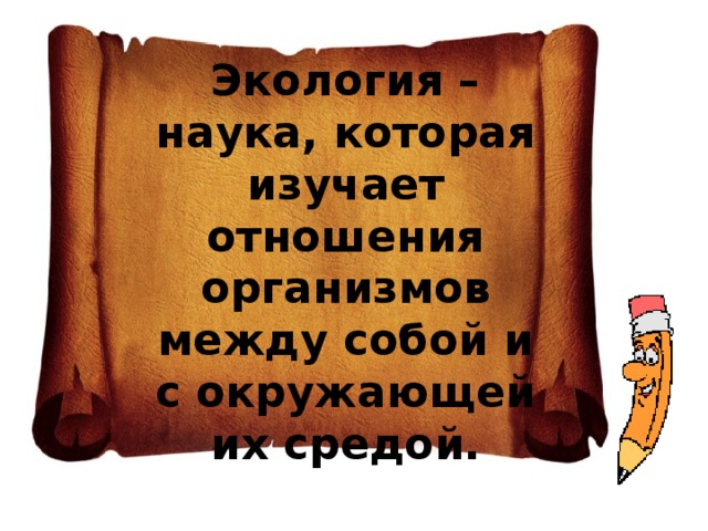 Экология – наука, которая изучает отношения организмов между собой и с окружающей их средой. 