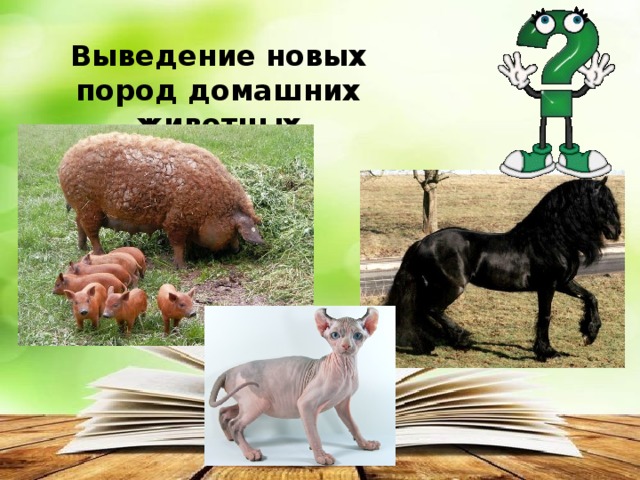 Выведение новых пород домашних животных 