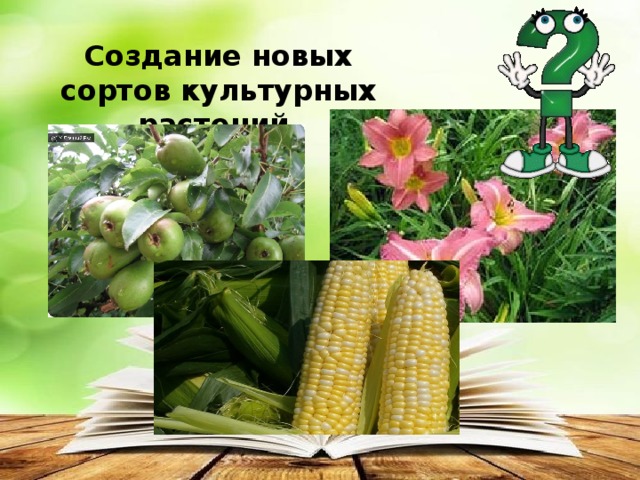 Создание новых сортов культурных растений 