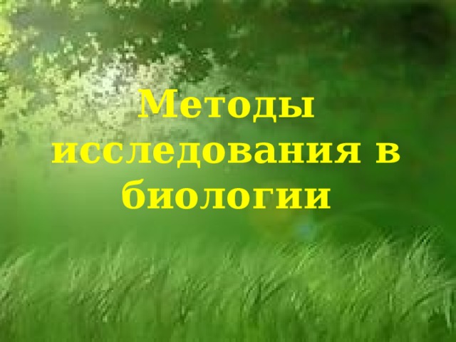 Методы исследования в биологии 