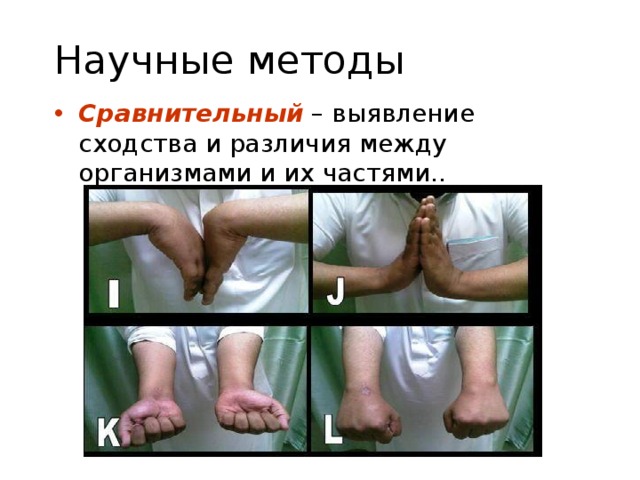 Научные методы Сравнительный – выявление сходства и различия между организмами и их частями.. 