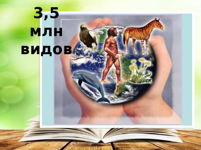 3,5 млн видов 