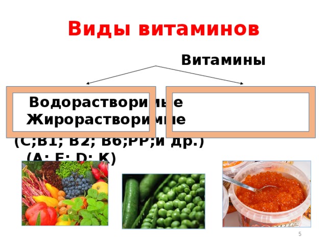 Виды витаминов  Витамины   Водорастворимые Жирорастворимые (С;В1; В2; В6;РР;и др.) (А; Е; D; К)  