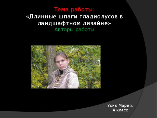 Тема работы:  «Длинные шпаги гладиолусов в ландшафтном дизайне»  Авторы работы Усик Мария, 4 класс 
