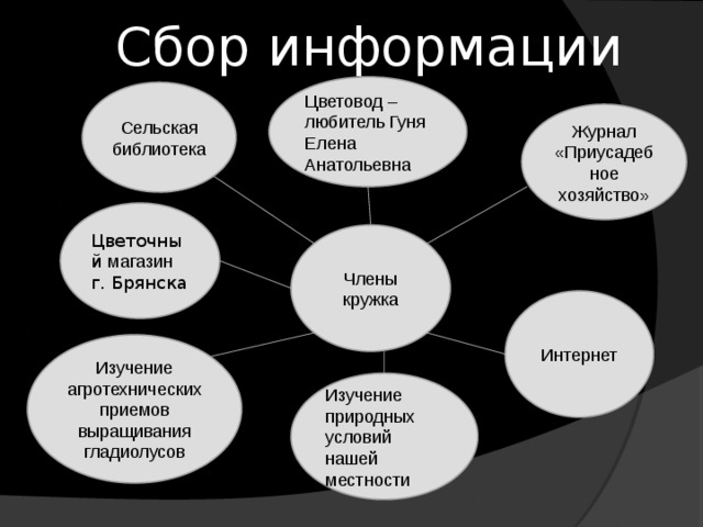 Сбор информации Цветовод – любитель Гуня Елена Анатольевна Сельская библиотека Журнал «Приусадебное хозяйство» Цветочный магазин г. Брянска Члены кружка Интернет Изучение агротехнических приемов выращивания гладиолусов Изучение природных условий нашей местности 