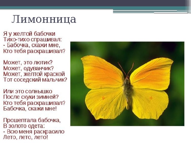 Лимонница 