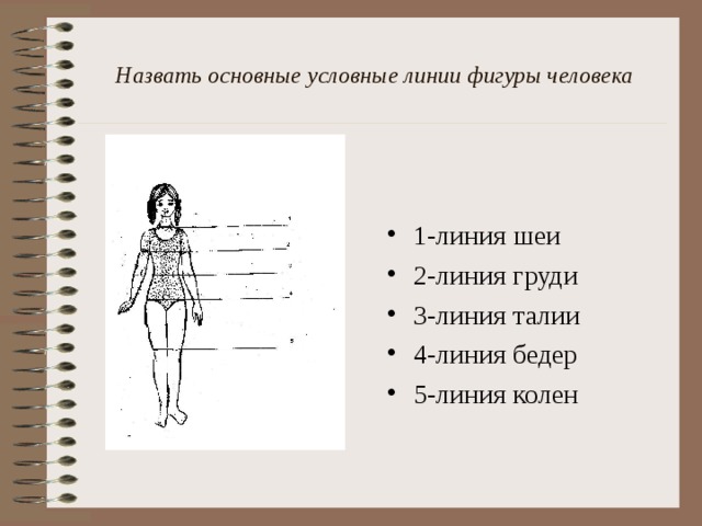 Назвать основные условные линии фигуры человека 1-линия шеи 2-линия груди 3-линия талии 4-линия бедер 5-линия колен 
