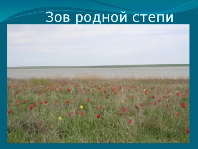  Зов родной степи 