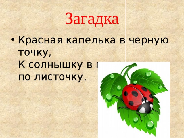 Загадка Красная капелька в черную точку,  К солнышку в гости ползет по листочку.  