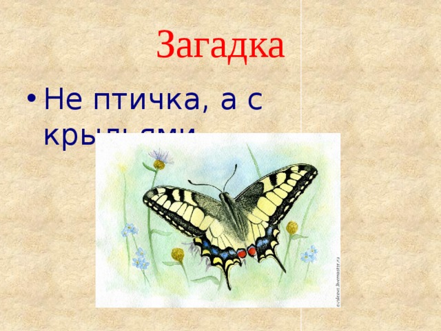 Загадка Не птичка, а с крыльями.  