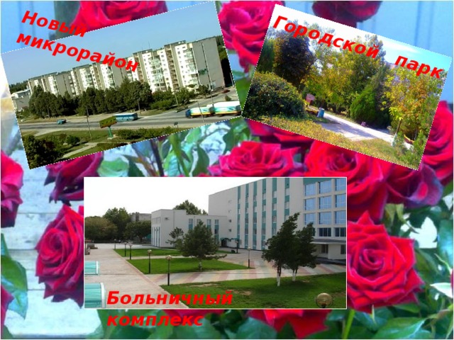 Новый микрорайон Городской парк Больничный комплекс 