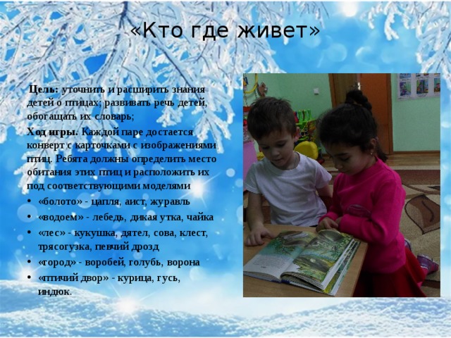 «Кто где живет»     Цель:  уточнить и расширить знания детей о птицах; развивать речь детей, обогащать их словарь; Ход игры.  Каждой паре достается конверт с карточками с изображениями птиц. Ребята должны определить место обитания этих птиц и расположить их под соответствующими моделями «болото» - цапля, аист, журавль «водоем» - лебедь, дикая утка, чайка «лес» - кукушка, дятел, сова, клест, трясогузка, певчий дрозд «город» - воробей, голубь, ворона «птичий двор» - курица, гусь, индюк. 