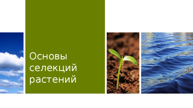 Основы селекций растений  
