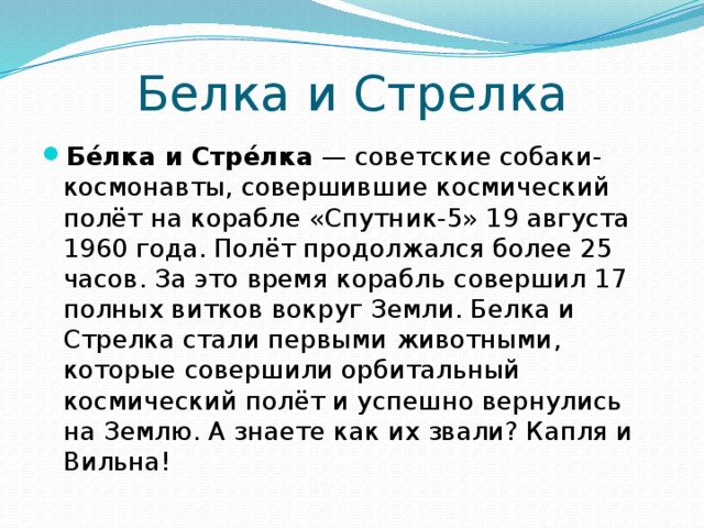 Белка и Стрелка Бе́лка и Стре́лка  — советские собаки-космонавты, совершившие космический полёт на корабле «Спутник-5» 19 августа 1960 года. Полёт продолжался более 25 часов. За это время корабль совершил 17 полных витков вокруг Земли. Белка и Стрелка стали первыми животными, которые совершили орбитальный космический полёт и успешно вернулись на Землю. А знаете как их звали? Капля и Вильна! 