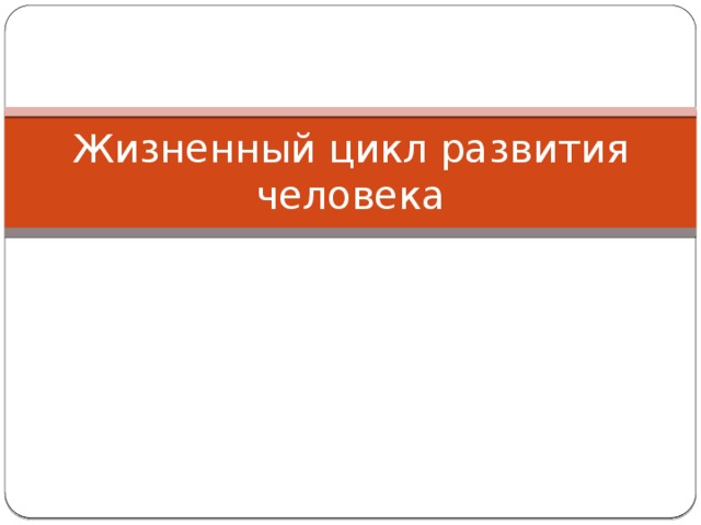 Жизненный цикл развития человека 