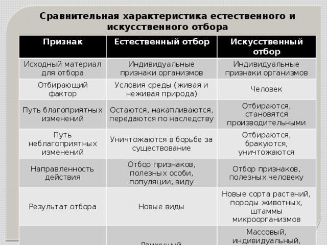 Сравнительная характеристика естественного и искусственного отбора Признак Естественный отбор Исходный материал для отбора Искусственный отбор Индивидуальные признаки организмов Отбирающий фактор Индивидуальные признаки организмов Условия среды (живая и неживая природа) Путь благоприятных изменений Человек Остаются, накапливаются, передаются по наследству Путь неблагоприятных изменений Направленность действия Отбираются, становятся производительными Уничтожаются в борьбе за существование Отбираются, бракуются, уничтожаются Отбор признаков, полезных особи, популяции, виду Результат отбора Отбор признаков, полезных человеку Новые виды Формы отбора Новые сорта растений, породы животных, штаммы микроорганизмов Движущий, стабилизирующий, дизруптивный Массовый, индивидуальный, бессознательный (стихийный), методический (сознательный) 