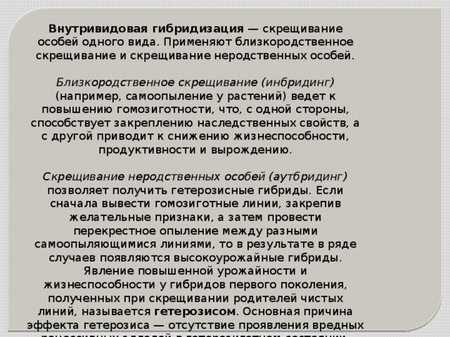 Внутривидовая гибридизация  — скрещивание особей одного вида. Применяют близкородственное скрещивание и скрещивание неродственных особей.  Близкородственное скрещивание (инбридинг) (например, самоопыление у растений) ведет к повышению гомозиготности, что, с одной стороны, способствует закреплению наследственных свойств, а с другой приводит к снижению жизнеспособности, продуктивности и вырождению.  Скрещивание неродственных особей (аутбридинг) позволяет получить гетерозисные гибриды. Если сначала вывести гомозиготные линии, закрепив желательные признаки, а затем провести перекрестное опыление между разными самоопыляющимися линиями, то в результате в ряде случаев появляются высокоурожайные гибриды. Явление повышенной урожайности и жизнеспособности у гибридов первого поколения, полученных при скрещивании родителей чистых линий, называется гетерозисом . Основная причина эффекта гетерозиса — отсутствие проявления вредных рецессивных аллелей в гетерозиготном состоянии. Однако уже со второго поколения эффект гетерозиса быстро снижается. 