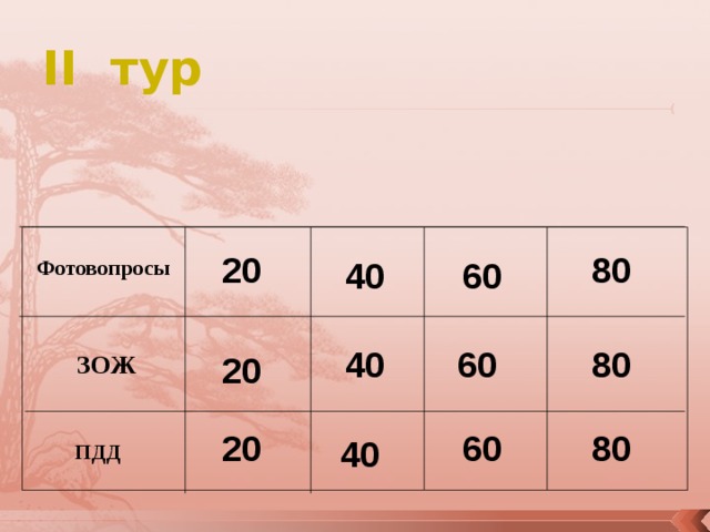 II тур  20 80 60 Фотовопросы 40 40 60 80 20 ЗОЖ 60 20 80 40 ПДД 