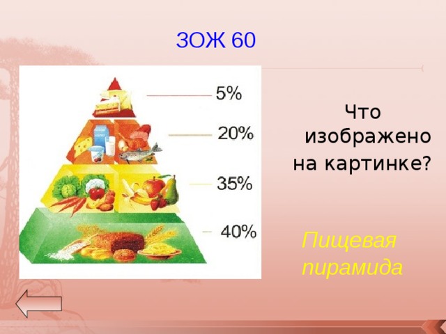 ЗОЖ 60 Что изображено на картинке? Пищевая  пирамида 