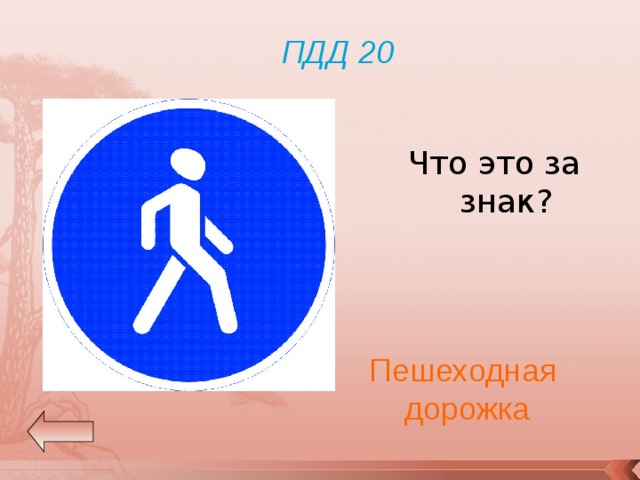 ПДД 20 Что это за знак? Пешеходная  дорожка 